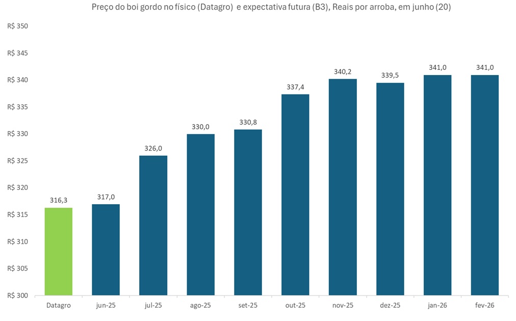 preço futuro do boi gordo
