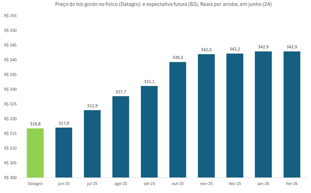preço futuro do boi gordo