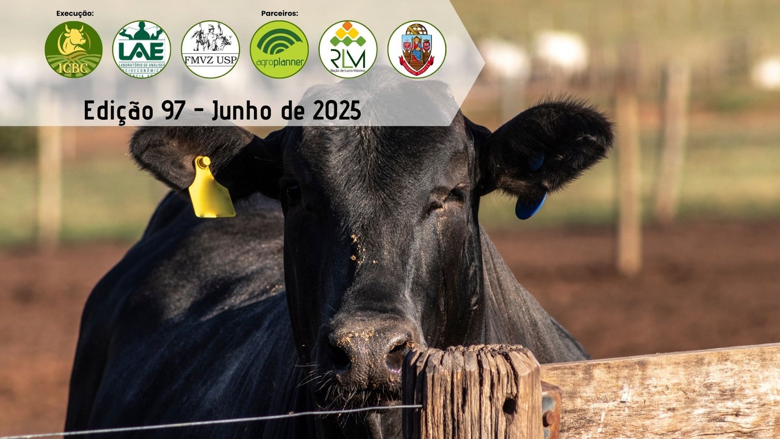Custo de produção de bovinos confinados no menor patamar de 2025 em junho!