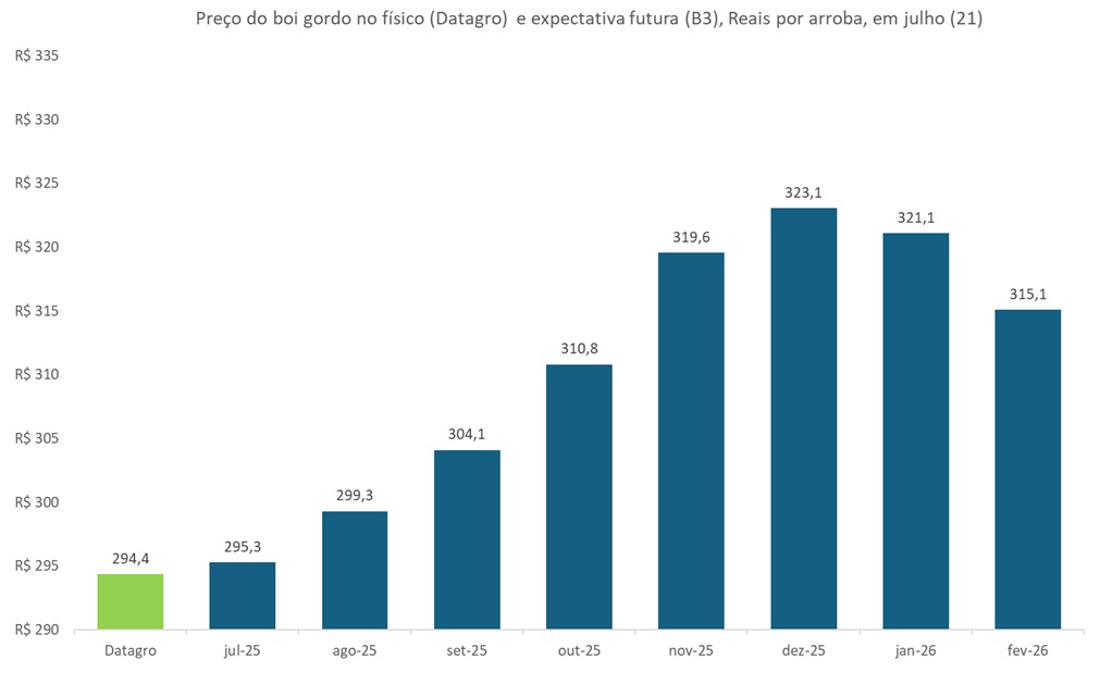 preço futuro do boi gordo