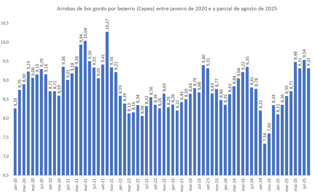 arrobas de boi gordo por bezerro