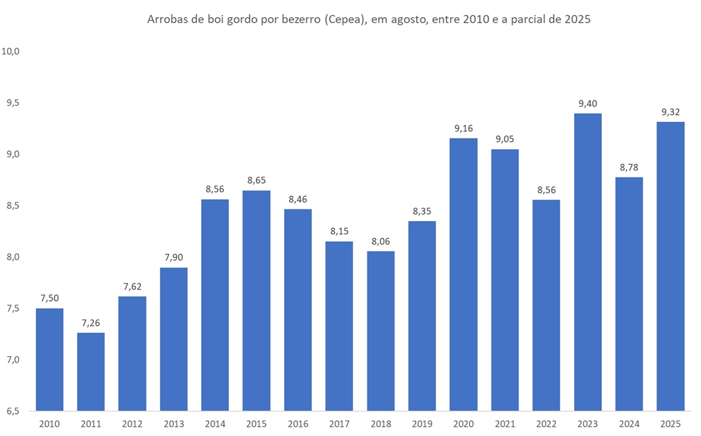 arrobas de boi gordo por bezerro