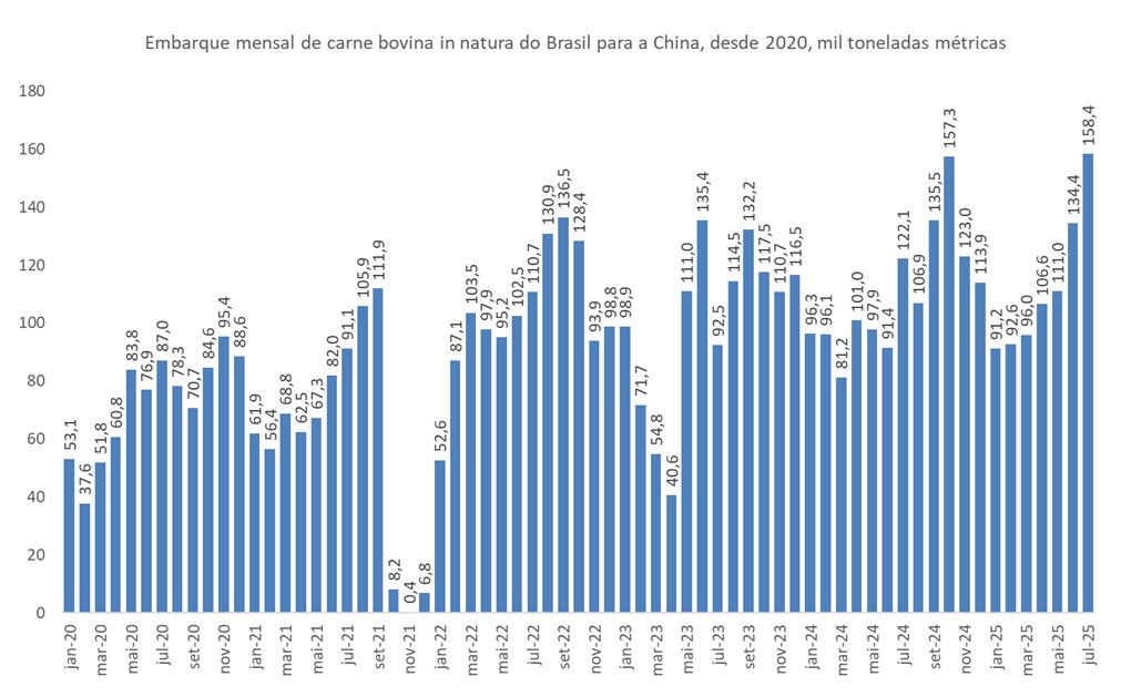 exportação de carne bovina