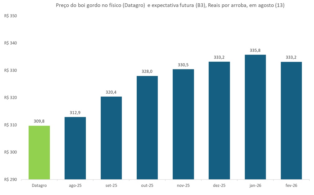 preço futuro do boi gordo