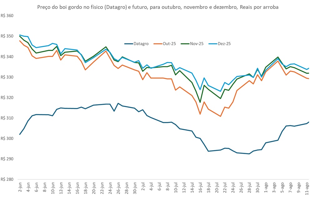preço futuro do boi gordo