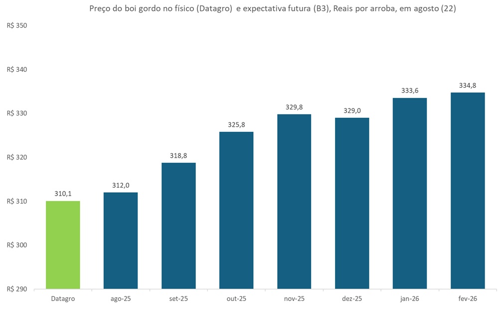 preço futuro do boi gordo