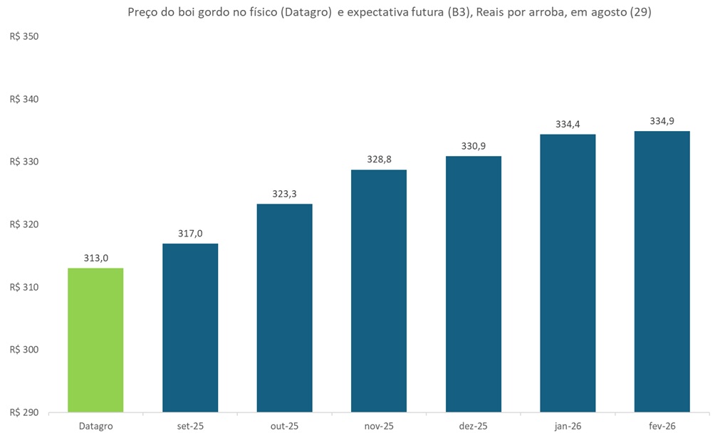 preço futuro do boi gordo