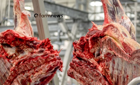 exportação de carne bovina do Brasil para a UE