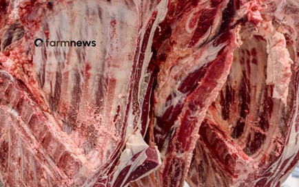 importação de carne bovina do Brasil pela UE