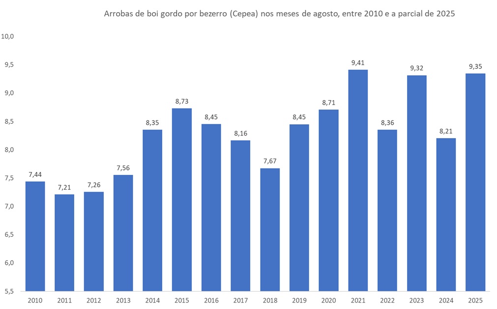 arrobas de boi gordo por bezerro