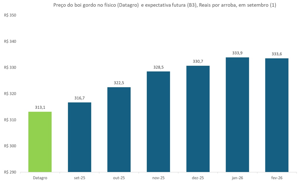 preço futuro do boi gordo
