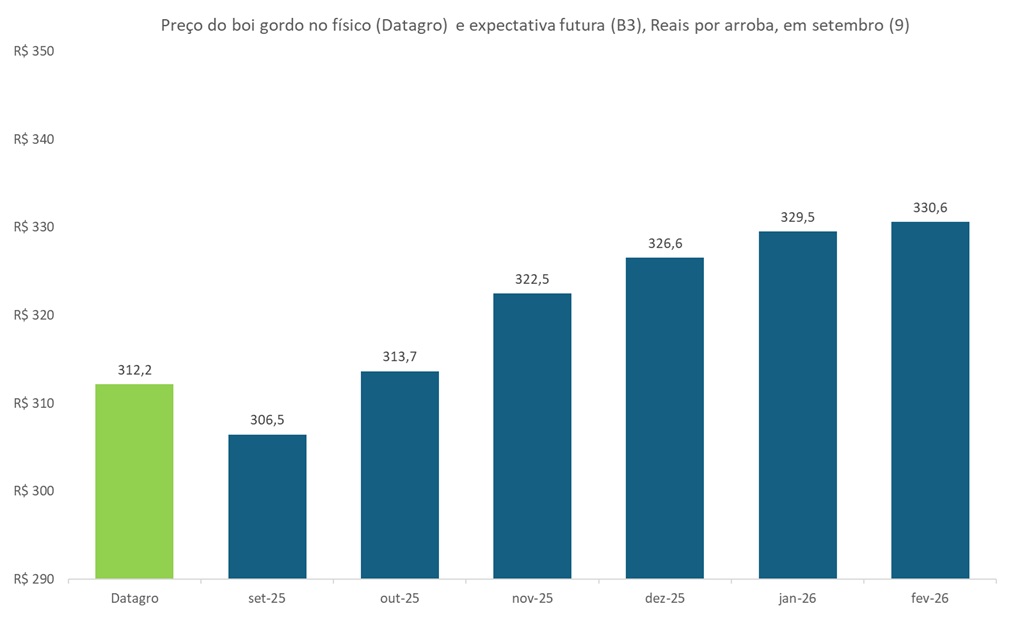 preço futuro do boi gordo