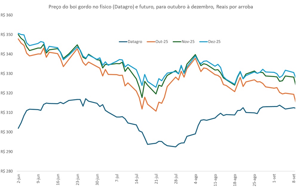 preço futuro do boi gordo