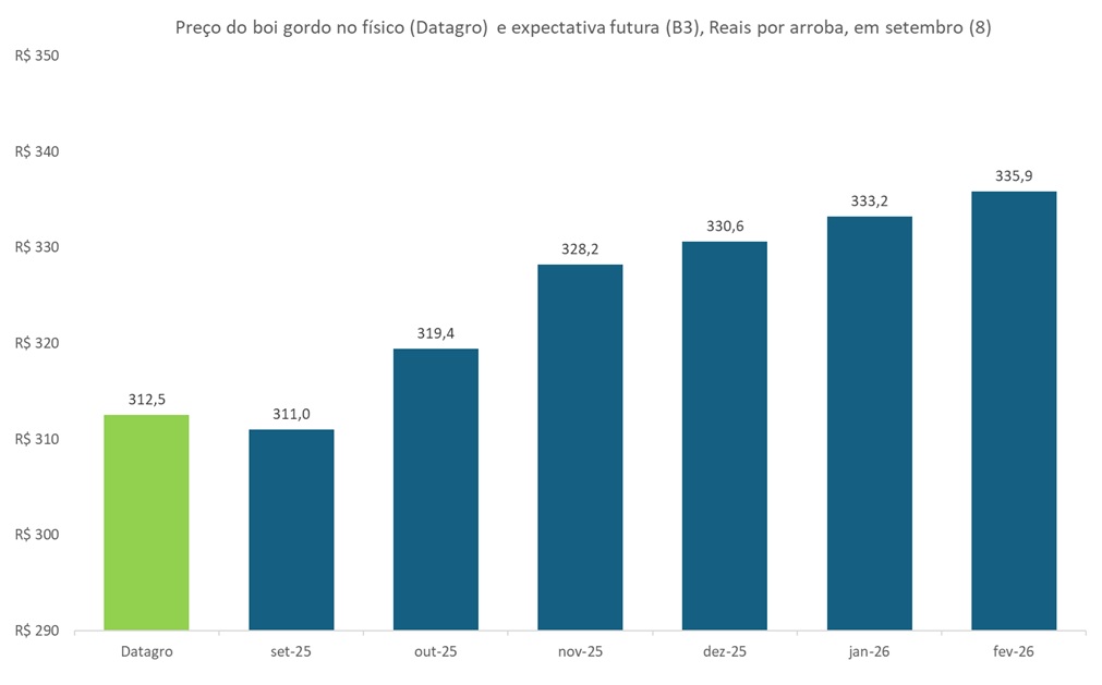 preço futuro do boi gordo