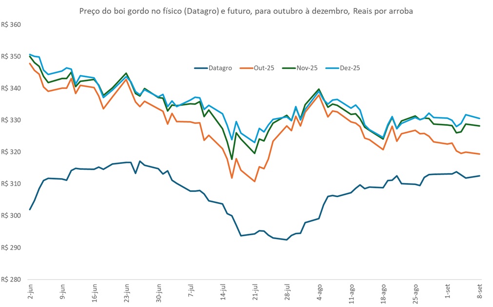 preço futuro do boi gordo