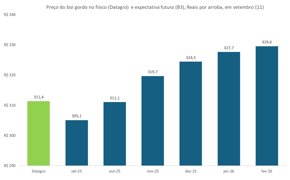 preço futuro do boi gordo