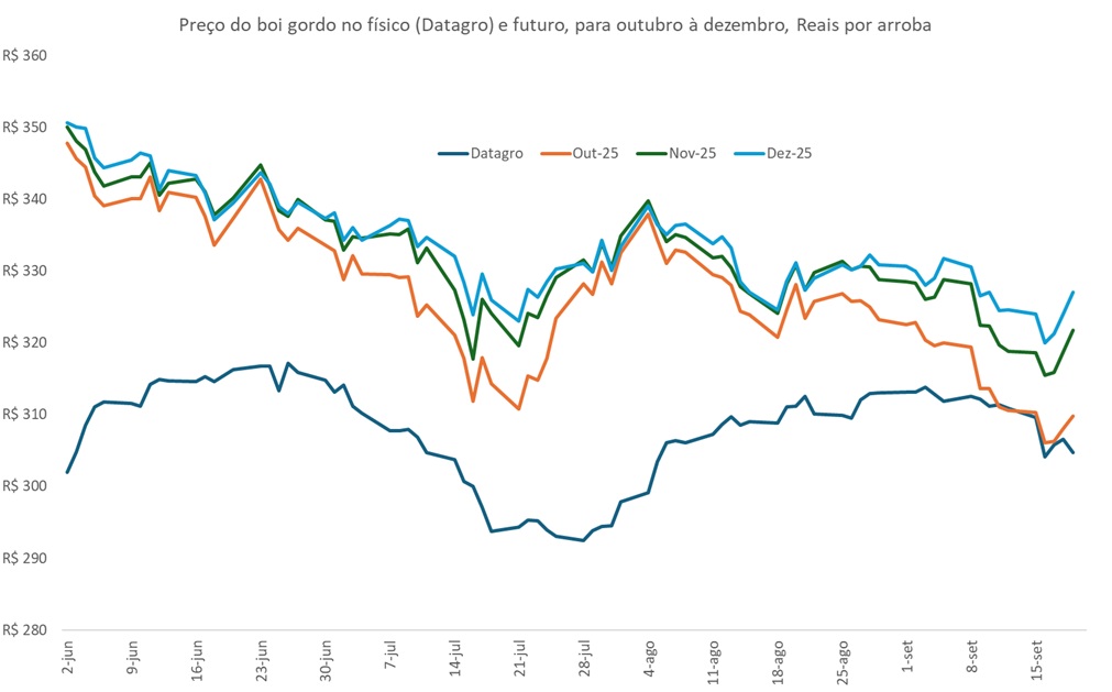 preço futuro do boi gordo