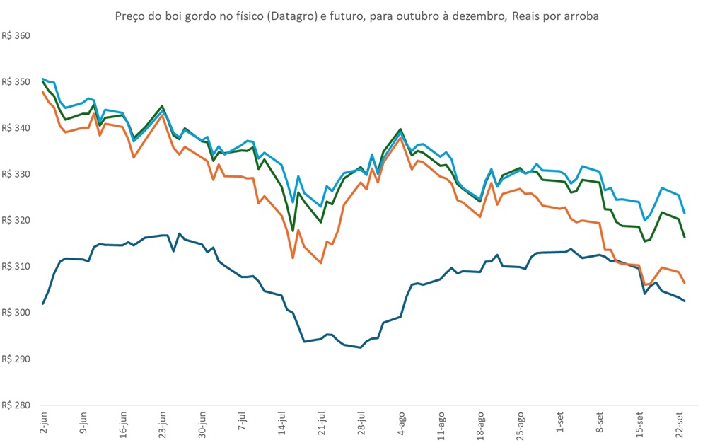 preço futuro do boi gordo