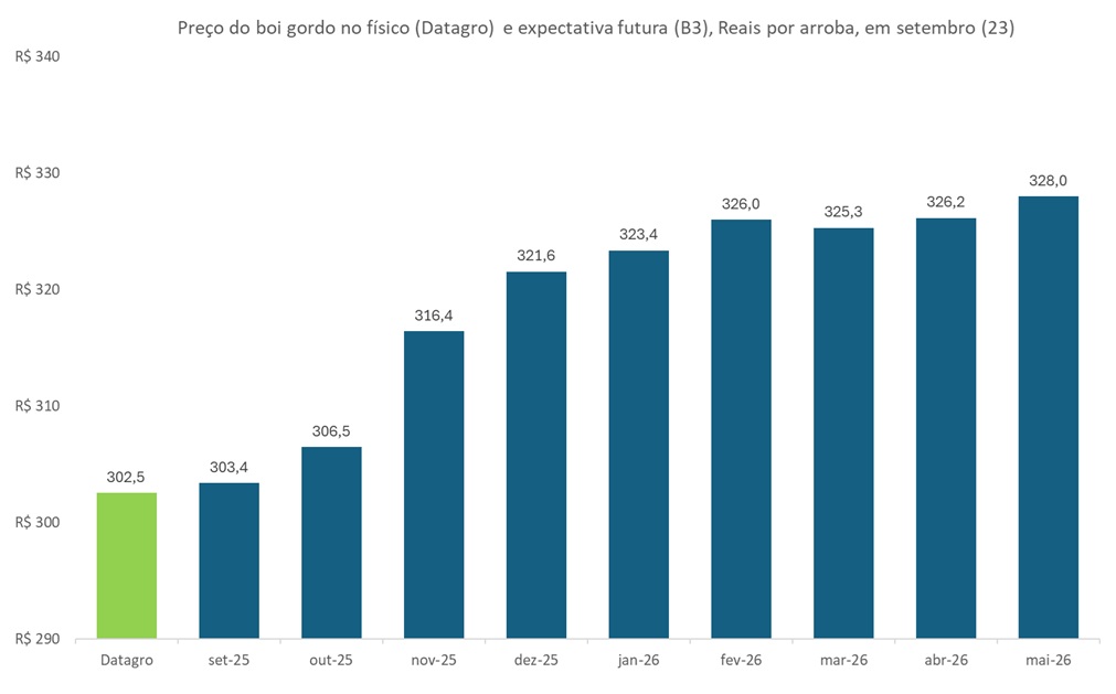 preço futuro do boi gordo