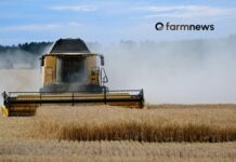 Crise no agronegócio ou ajuste cíclico?