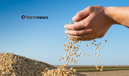 estoque mundial de soja