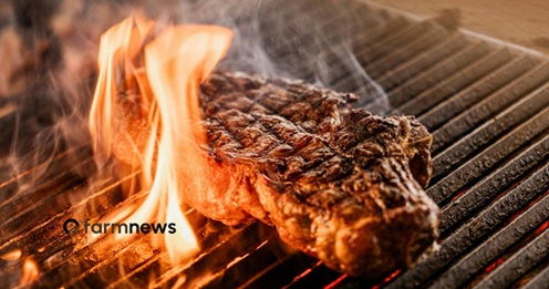 importação de carne bovina brasileira pela Argentina