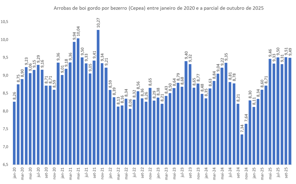 boi gordo por bezerro