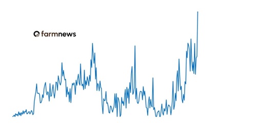 exportação de bovinos vivos do Brasil