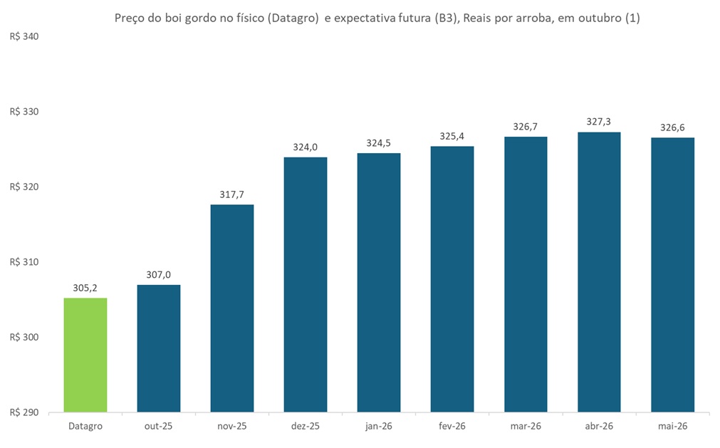 preço futuro do boi gordo