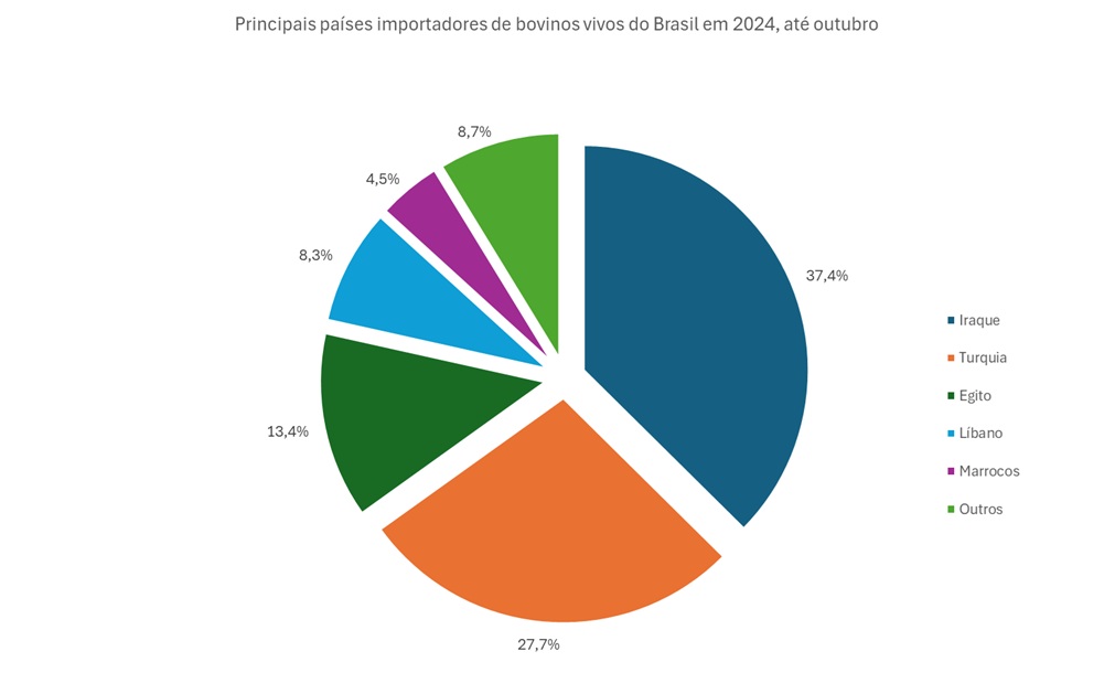 importadores de bovinos vivos