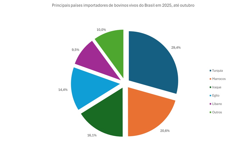 importadores de bovinos vivos