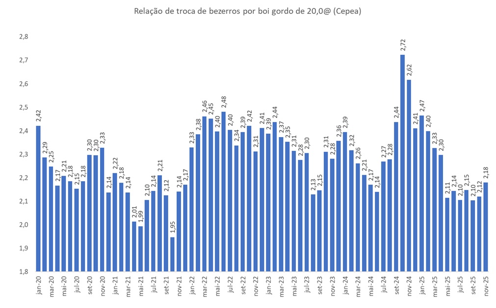 troca de bezerros por boi gordo