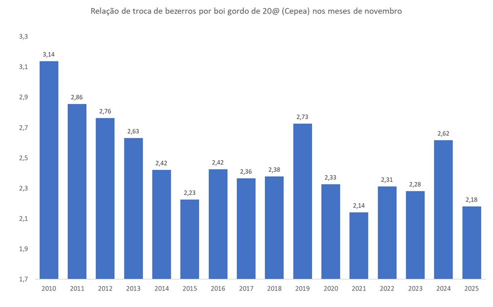 troca de bezerros por boi gordo