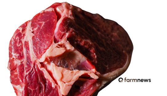 preço futuro do boi gordo