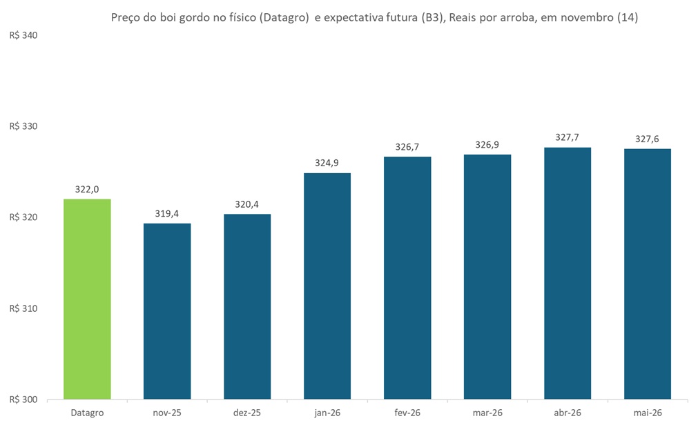 preço futuro do boi gordo