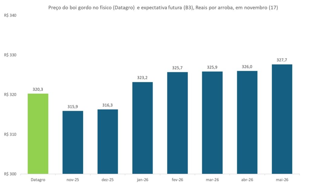 preço futuro do boi gordo