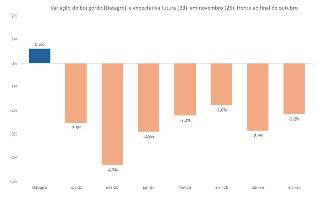 mercado futuro do boi gordo