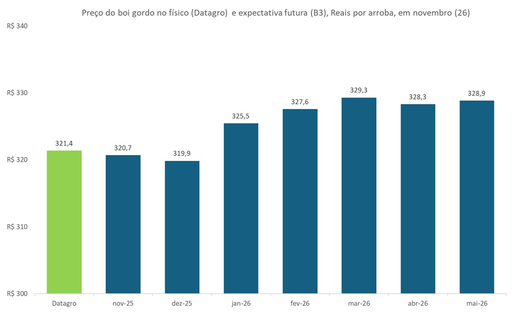 mercado futuro do boi gordo