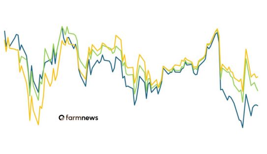 preço futuro do boi gordo