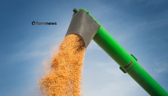 preço futuro do milho