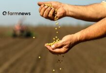 Seed Treatment: The Hidden Engine of Agricultural Efficiency seed treatment