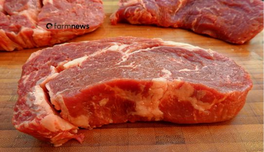 carne bovina para a UE
