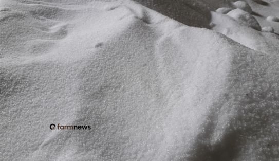 preço futuro da ureia