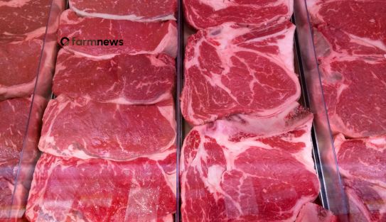 preço da carne bovina