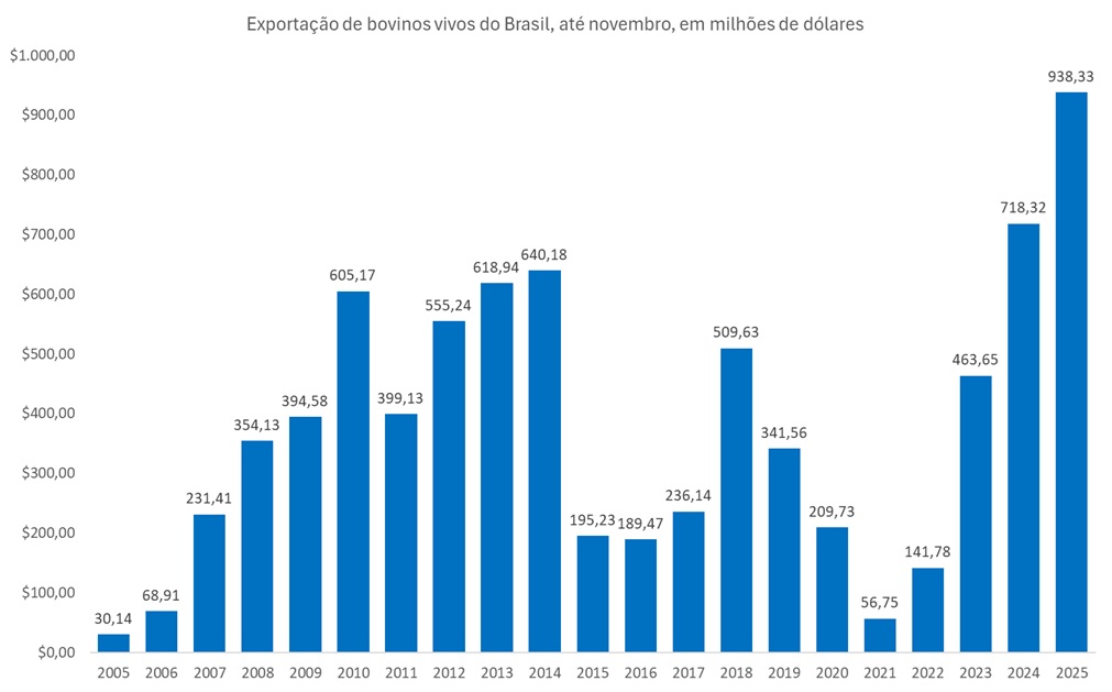 exportação de bovinos vivos