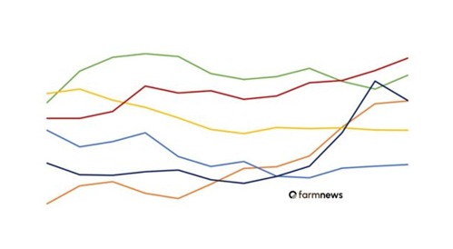 preço da arroba do bezerro