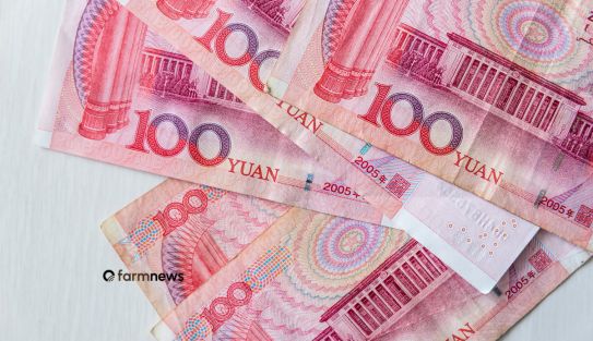 endividamento chinês