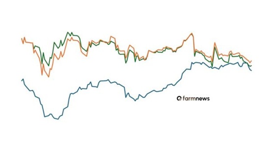 preço futuro do boi gordo