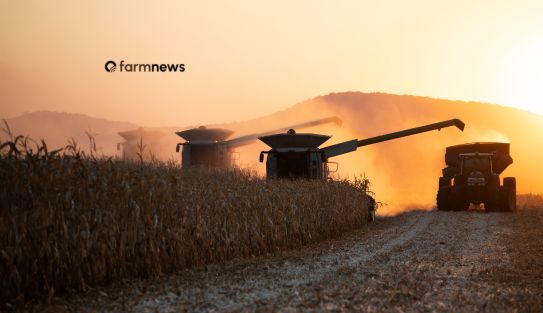 preço futuro do milho