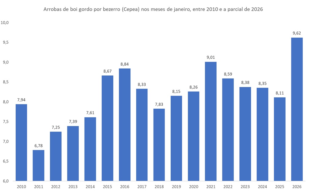 arrobas de boi gordo